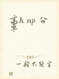 高h np 公车