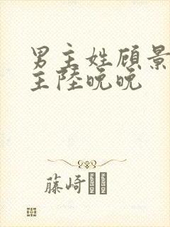 男主姓顾景琛女主陆晚晚