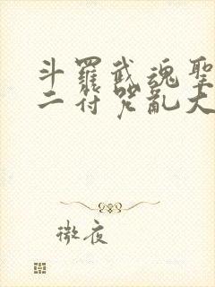 斗罗武魂圣主十二符咒乱大陆