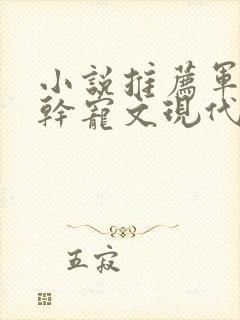 小说推荐军婚高干宠文现代