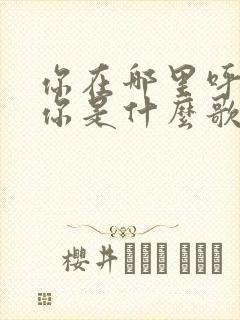 你在哪里呼唤着你是什么歌