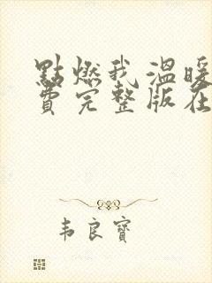 点燃我温暖你免费完整版在线观看