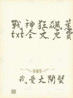 战神狂飙叶无缺txt全文免费下载