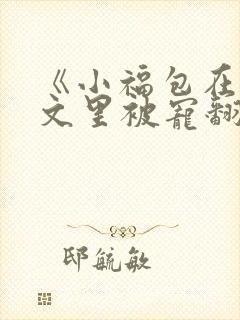 《小福包在年代文里被宠翻了》