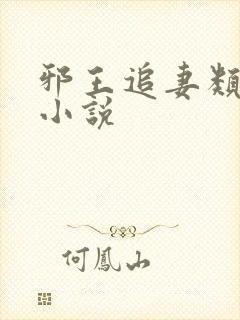 邪王追妻类似的小说