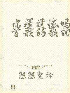 你还遗憾吗是哪首歌的歌词