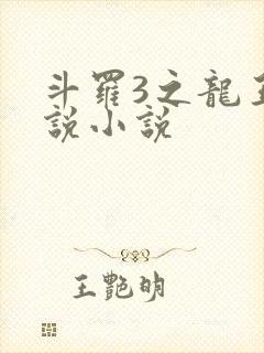 斗罗3之龙王传说小说