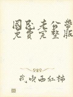 国民老公带回家免费完整版