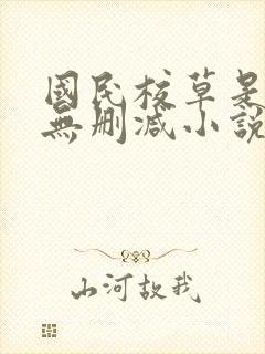 国民校草是女生无删减小说