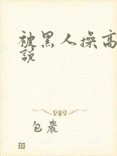 被黑人操高潮小说