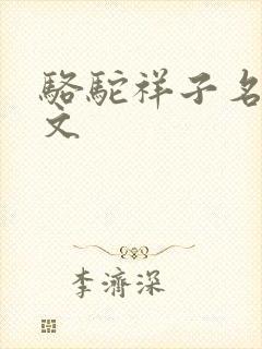 骆驼祥子名著原文