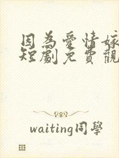 因为爱情嫁错门短剧免费观看