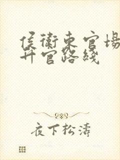 侯卫东官场笔记升官路线