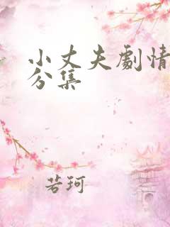 小丈夫剧情介绍分集