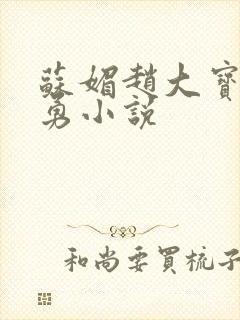 苏媚赵大宝赵大勇小说