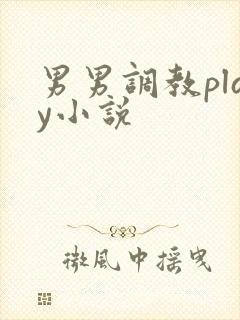 男男调教play小说