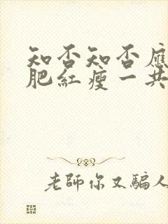 知否知否应是绿肥红瘦一共有多少集