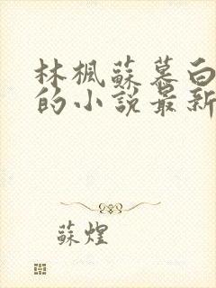 林枫苏慕白穿越的小说最新章节