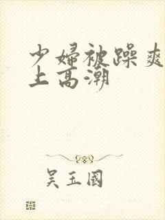 少妇被躁爽到车上高潮