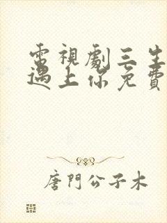 电视剧三生有幸遇上你免费