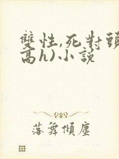 双性,死对头(高h)小说