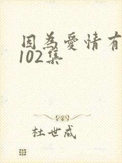 因为爱情有奇迹102集