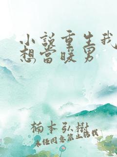 小说重生我真没想当暖男