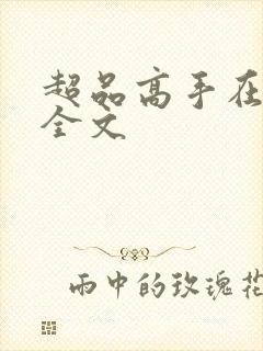 超品高手在都市全文