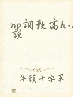 np调教高h小说