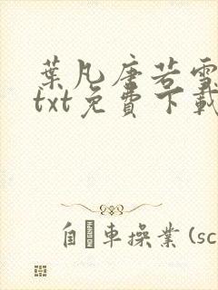 叶凡唐若雪医婿txt免费下载