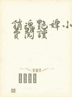 销魂艳婢小说免费阅读