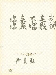 你来不来我都等你原唱歌词