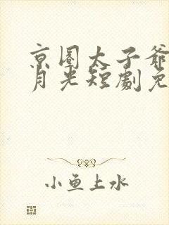 京圈太子爷的白月光短剧免费观看