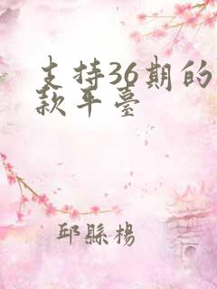 支持36期的贷款平台