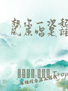 想你一次起一阵风原唱是谁