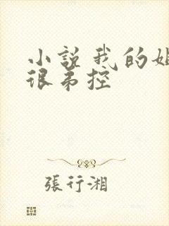 小说 我的姐姐很弟控