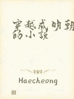 穿越成明朝太子的小说