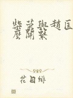 柴荣与赵匡胤什么关系