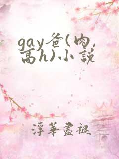 gay爸(肉,高h)小说