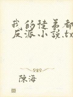 我的徒弟都是大反派小说.txt