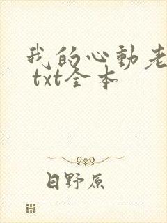 我的心动老板娘 txt全本