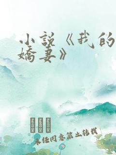 小说《我的极品娇妻》