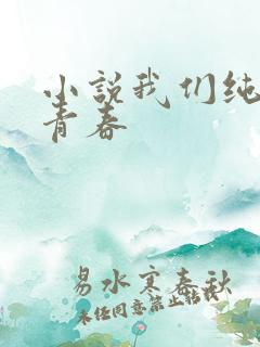 小说我们纯真的青春