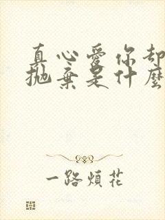 真心爱你却被你抛弃是什么歌