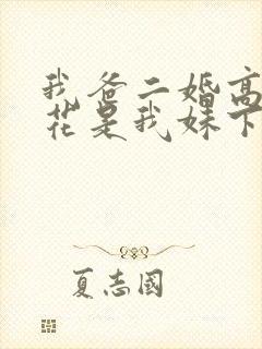 我爸二婚高冷校花是我妹下载