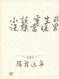 小说 重生我真没想当暖男