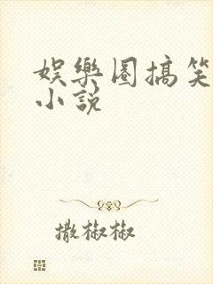 娱乐圈搞笑言情小说