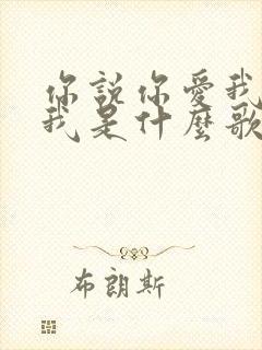 你说你爱我你想我是什么歌