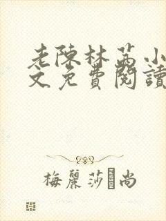 老陈林茜小说全文免费阅读