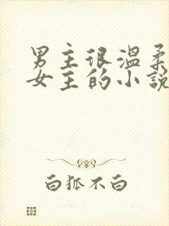 男主很温柔很爱女主的小说